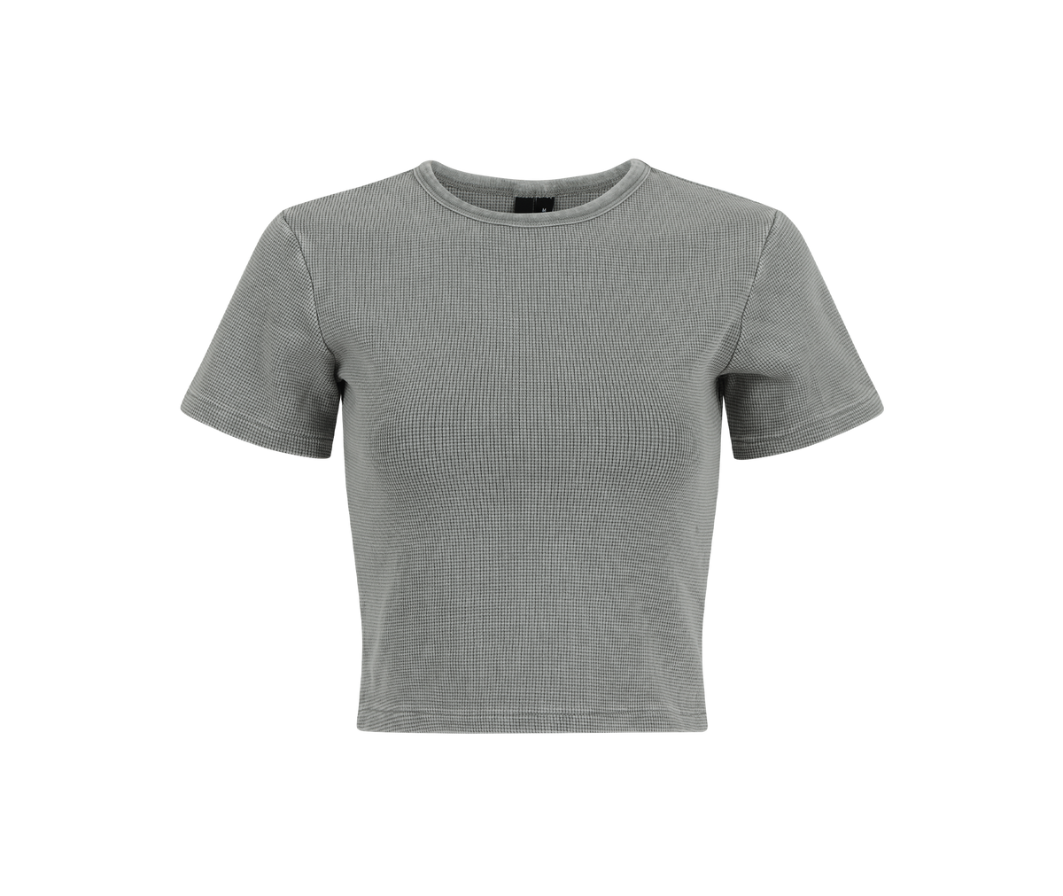MICRO WAFFLE TEE RHINO entire studios